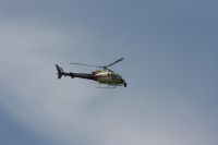 IMG_1329.jpg