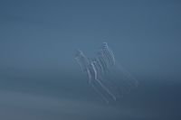 IMG_1590.jpg