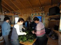 Filename=DSC01440.JPG
Filesize=89KiB
Dimensions=800x600
Date added=Dec 27, 2010 DSC01440.JPG