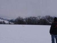 Filename=DSC01627.JPG
Filesize=25KiB
Dimensions=800x600
Date added=Jan 03, 2011 DSC01627.JPG