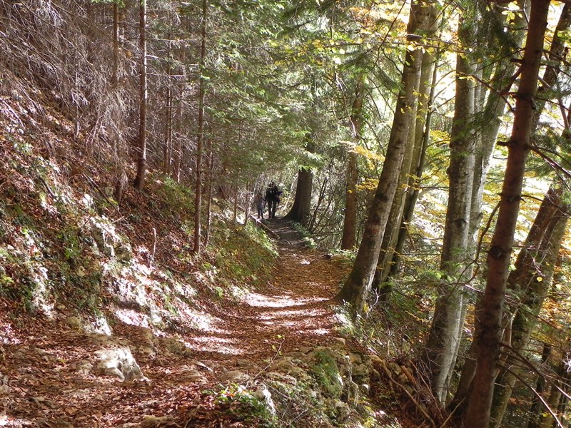 DSCN2541.jpg