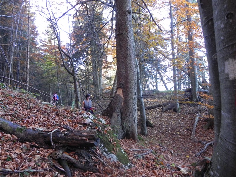 DSCN2719.jpg