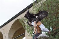 Filename=DSC00609.jpg
Filesize=130KiB
Dimensions=800x533
Date added=Oct 19, 2015 DSC00609.jpg