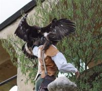 Filename=DSC00609_28129.jpg
Filesize=139KiB
Dimensions=676x600
Date added=Oct 19, 2015 DSC00609_28129.jpg