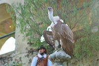 Filename=DSC00758.jpg
Filesize=96KiB
Dimensions=800x533
Date added=Oct 19, 2015 DSC00758.jpg
