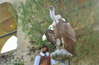 Filename=DSC00759.jpg
Filesize=97KiB
Dimensions=800x533
Date added=Oct 19, 2015 DSC00759.jpg