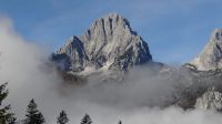 Filename=DSC01731.JPG
Filesize=72KiB
Dimensions=800x449
Date added=Oct 29, 2014 DSC01731.JPG