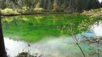 Filename=DSC01733.JPG
Filesize=145KiB
Dimensions=800x449
Date added=Oct 29, 2014 DSC01733.JPG