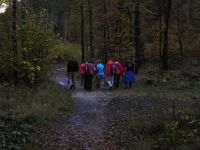 Filename=DSCN5756.jpg
Filesize=149KiB
Dimensions=1024x768
Date added=Oct 19, 2014 DSCN5756.jpg