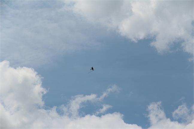 IMG_079628129.JPG