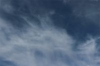 IMG_0764.JPG