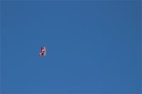 IMG_2533.JPG