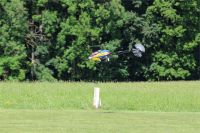 Filename=IMG_2598.JPG
Filesize=923KiB
Dimensions=1296x864
Date added=Jun 29, 2014 IMG_2598.JPG