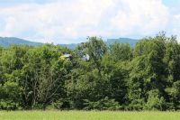 Filename=IMG_2601.JPG
Filesize=1108KiB
Dimensions=1296x864
Date added=Jun 29, 2014 IMG_2601.JPG