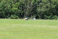 Filename=IMG_2604.JPG
Filesize=1088KiB
Dimensions=1296x864
Date added=Jun 29, 2014 IMG_2604.JPG