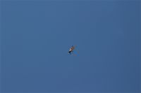 Filename=IMG_2633.JPG
Filesize=437KiB
Dimensions=1296x864
Date added=Jun 29, 2014 IMG_2633.JPG