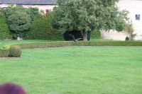 Filename=IMG_5727.JPG
Filesize=465KiB
Dimensions=2048x1365
Date added=Oct 18, 2015 IMG_5727.JPG