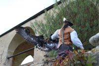 Filename=IMG_5733.JPG
Filesize=311KiB
Dimensions=2048x1365
Date added=Oct 18, 2015 IMG_5733.JPG