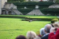 Filename=IMG_5768.JPG
Filesize=425KiB
Dimensions=2048x1365
Date added=Oct 18, 2015 IMG_5768.JPG