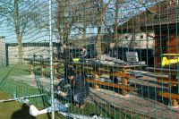 Filename=IMG_6794.JPG
Filesize=1466KiB
Dimensions=1296x864
Date added=Jan 01, 2016 IMG_6794.JPG