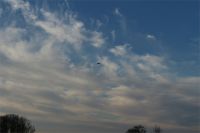 Filename=IMG_6826.JPG
Filesize=482KiB
Dimensions=1296x864
Date added=Jan 01, 2016 IMG_6826.JPG