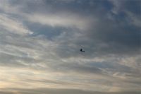 Filename=IMG_6870.JPG
Filesize=459KiB
Dimensions=1296x864
Date added=Jan 01, 2016 IMG_6870.JPG