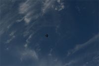 Filename=IMG_6875.JPG
Filesize=470KiB
Dimensions=1296x864
Date added=Jan 01, 2016 IMG_6875.JPG