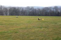 Filename=IMG_6878.JPG
Filesize=547KiB
Dimensions=1296x864
Date added=Jan 01, 2016 IMG_6878.JPG