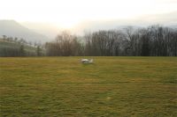 Filename=IMG_6880.JPG
Filesize=710KiB
Dimensions=1296x864
Date added=Jan 01, 2016 IMG_6880.JPG