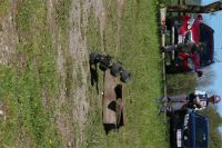 Filename=IMG_8412.JPG
Filesize=1095KiB
Dimensions=1296x864
Date added=May 02, 2016 IMG_8412.JPG